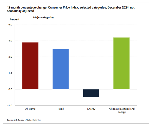 chart with 12-month percentage change, Consumer Price Index, selected categories, December 2024, not seasonally adjusted
